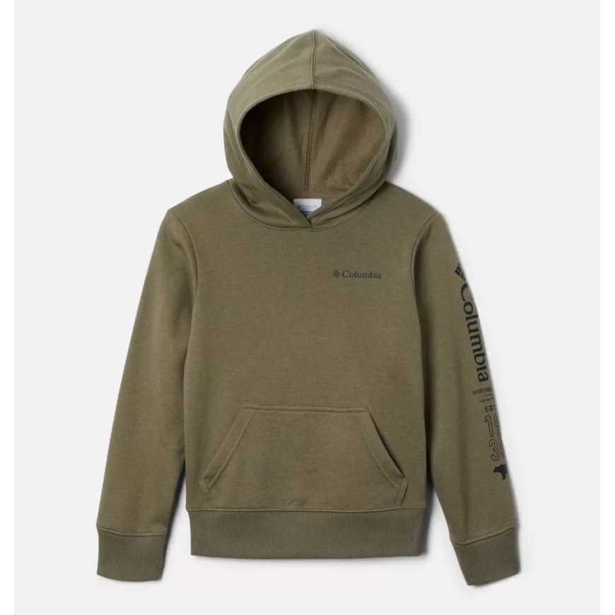 キッズ ベイスン パーク グラフィック パーカー コロンビア ストーン グリーン